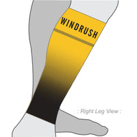 PERFORMANCE+ Aero Calf Sleeves