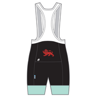 PERFORMANCE Endurance Bib Shorts