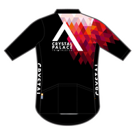 APEX+ Aero Jersey