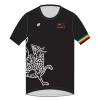 Apex Men's Run Top Crew Neck