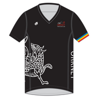Apex Men's Run Top V-Neck