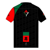 Apex Men's Run Top V-Neck
