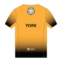 APEX+ Man's Run Top