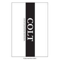 PERFORMANCE E sport towel 40cm X 60cm