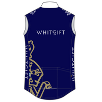 PERFORMANCE Winter Vest