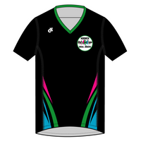 Apex Men's Run Top V-Neck