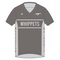 Apex Men's Run Top V-Neck
