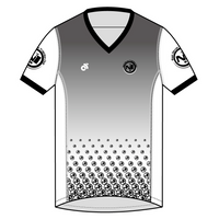 Apex Men's Run Top V-Neck