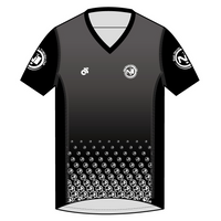Apex Men's Run Top V-Neck