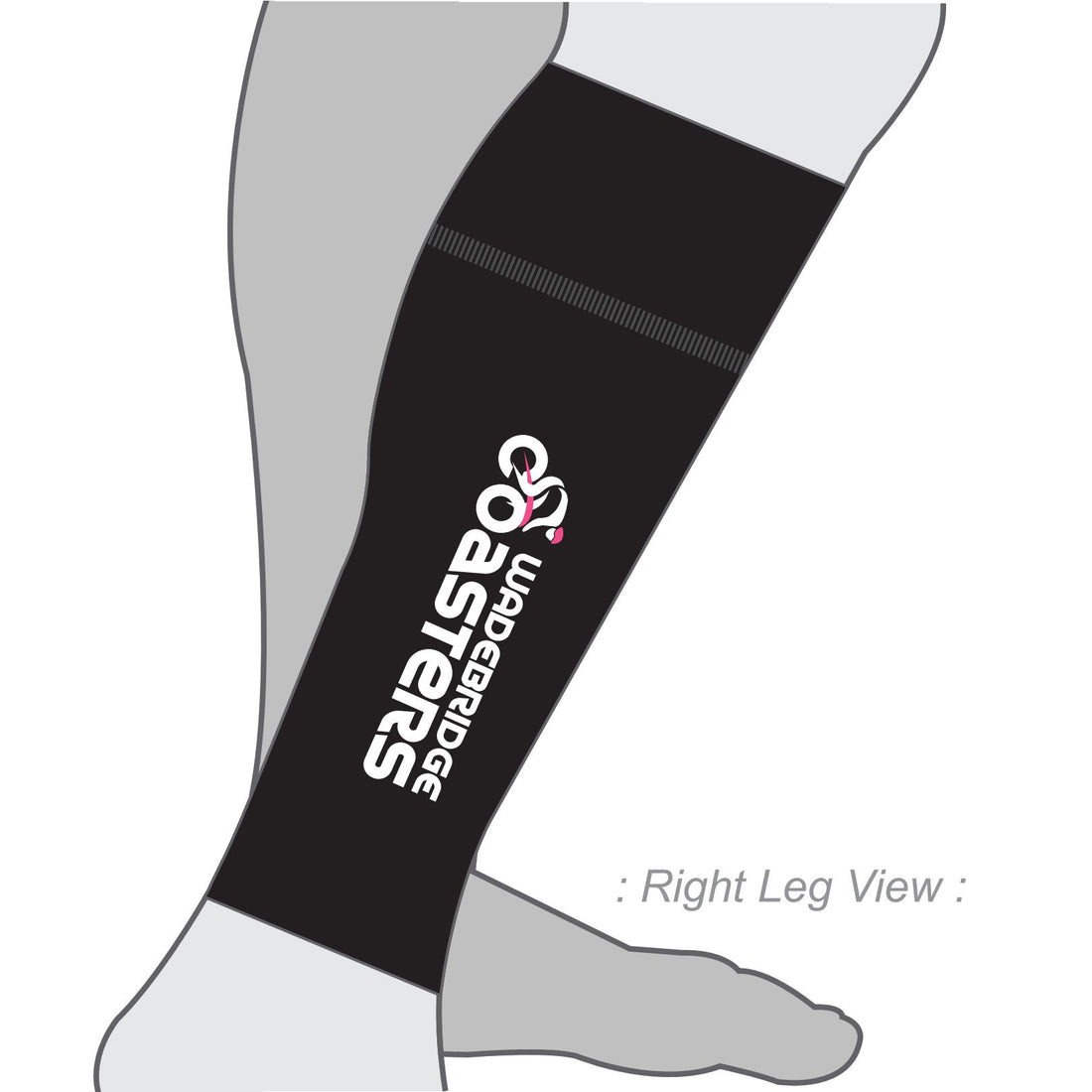 PERFORMANCE+ Aero Calf Sleeves (Women's Design)