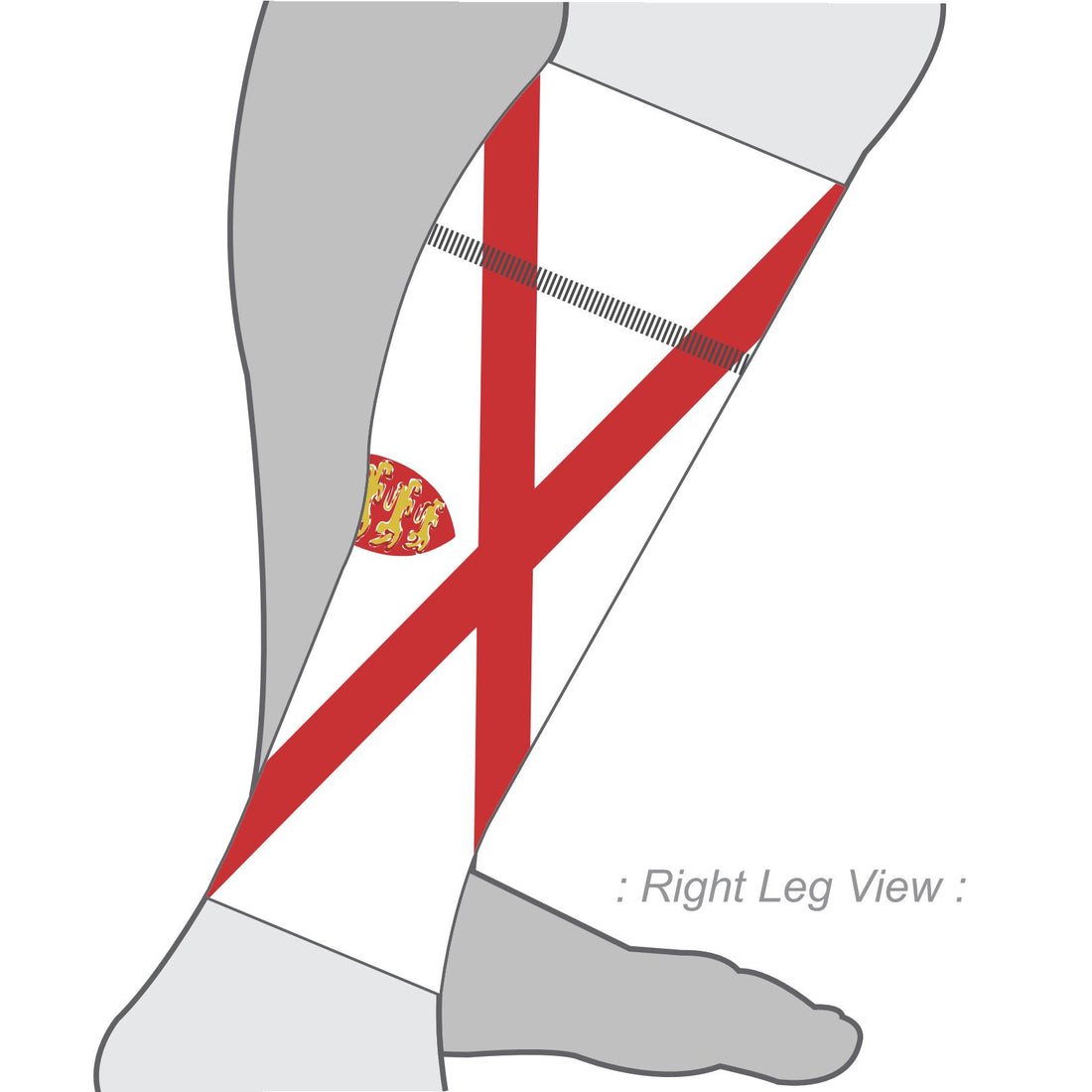 PERFORMANCE+ Aero Calf Sleeves