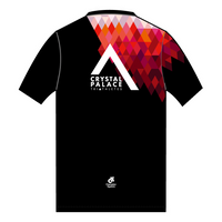 Apex Men's Run Top Crew Neck