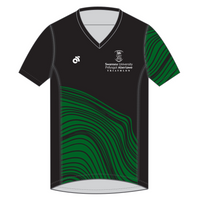 Apex Men's Run Top V-Neck