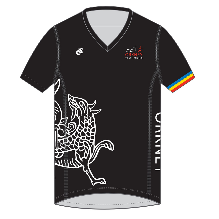 Apex Men's Run Top V-Neck