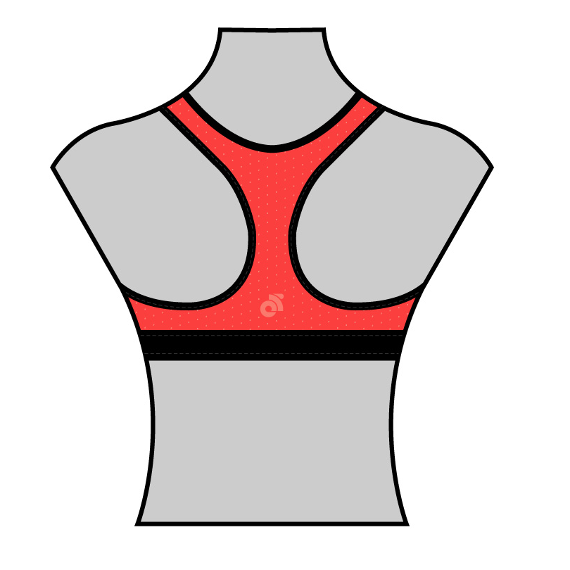 Performance Sports Bra