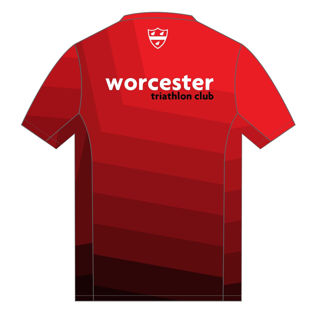 TECH+ Man's Run Top