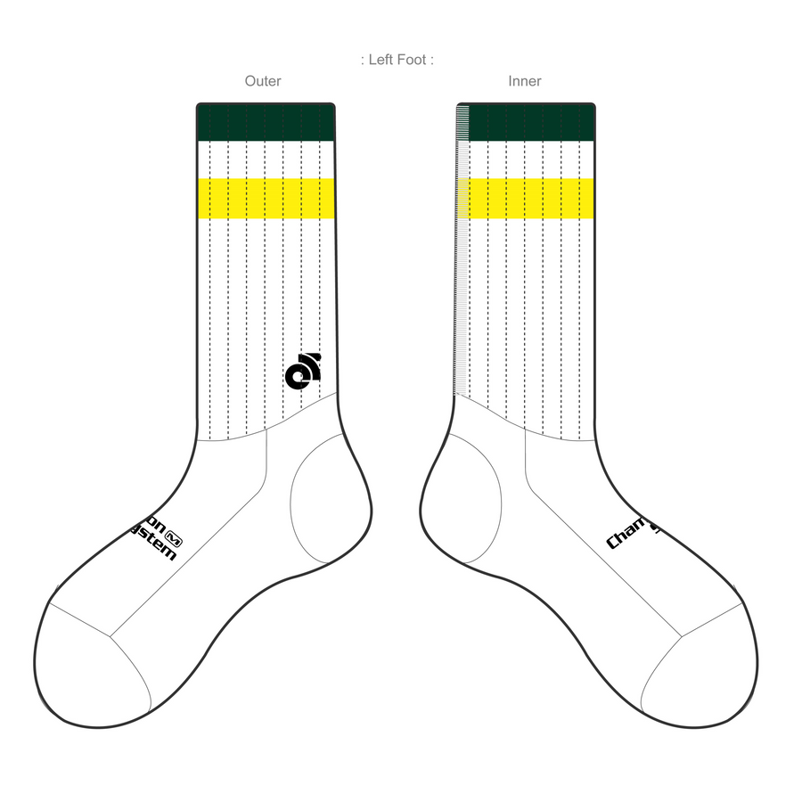 APEX Aero Race Socks