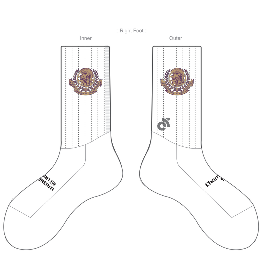 APEX Aero Race Socks