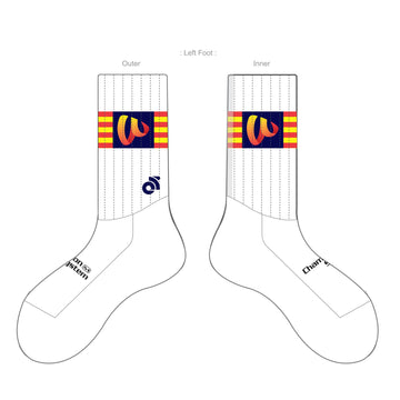 APEX Aero Race Socks