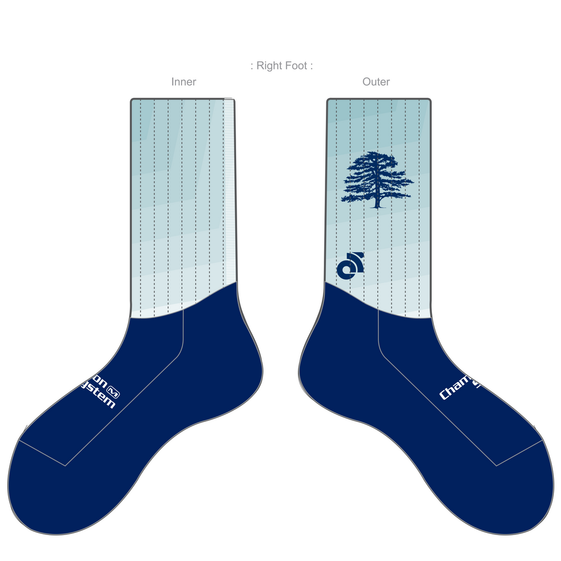 APEX Aero Race Socks