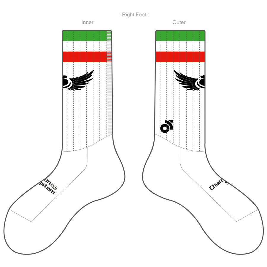 APEX Aero Race Socks