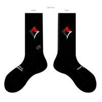 APEX Aero Race Socks