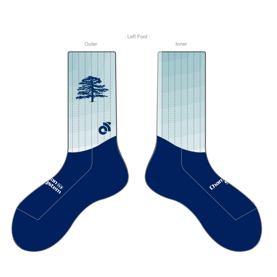 APEX Aero Race Socks