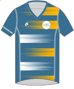Apex Men's Run Top V-Neck