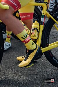 APEX Aero Race Socks (Men’s Design)