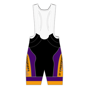 APEX+ Pro Bib Shorts