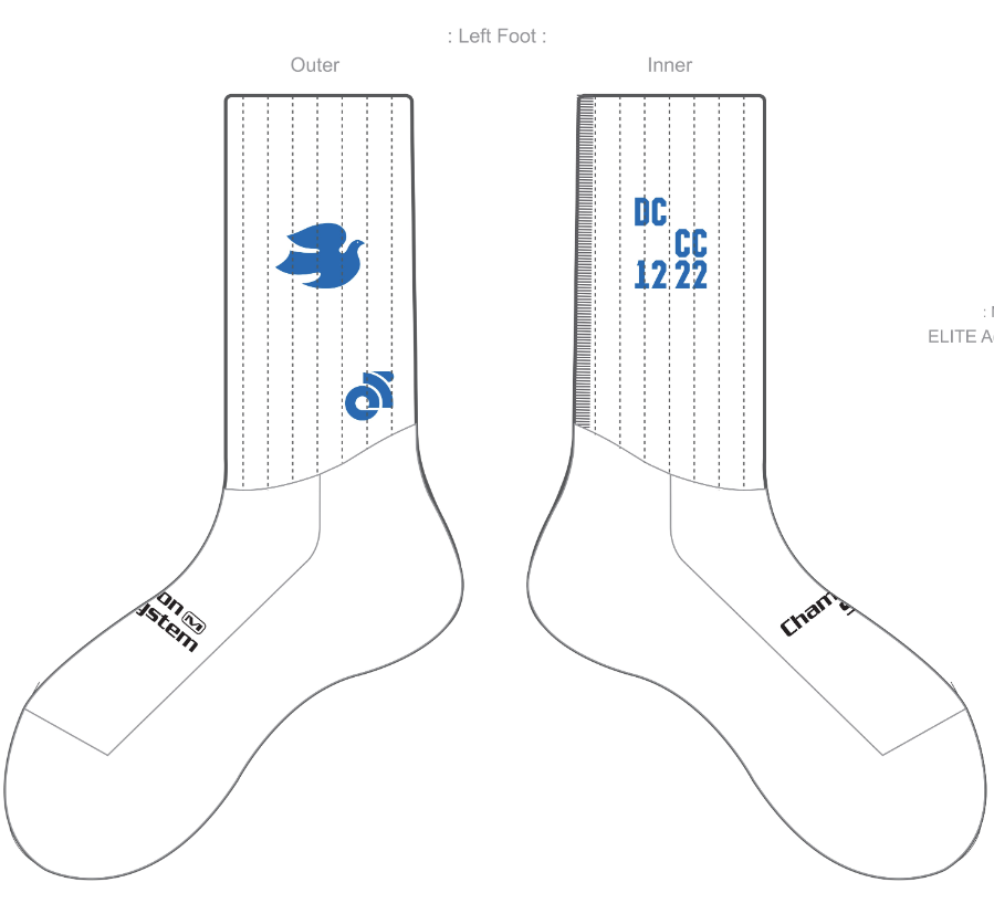 APEX Aero Race Socks