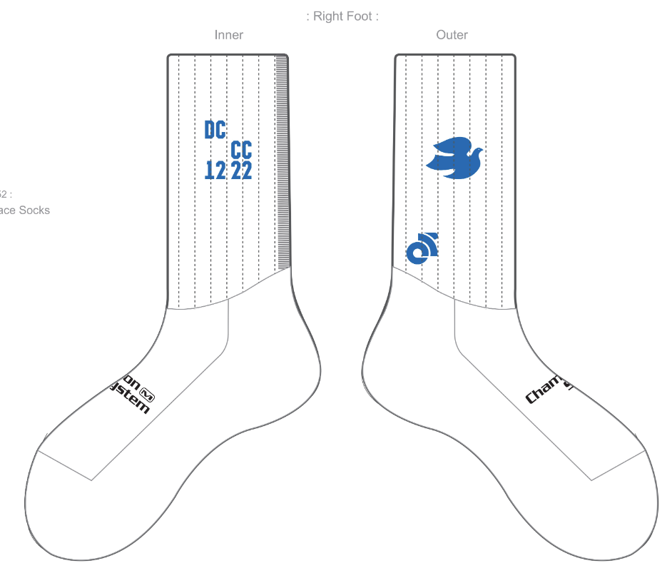 APEX Aero Race Socks