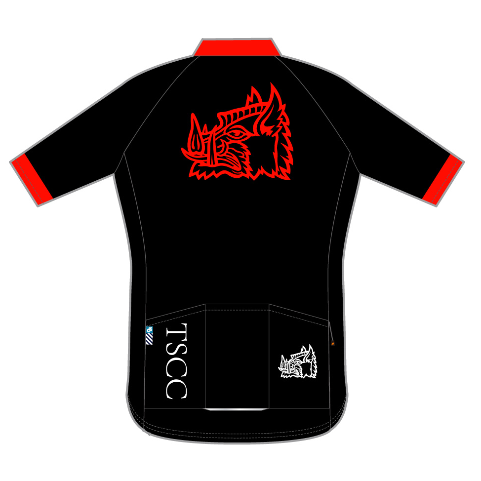 PERFORMANCE+ ECO Jersey