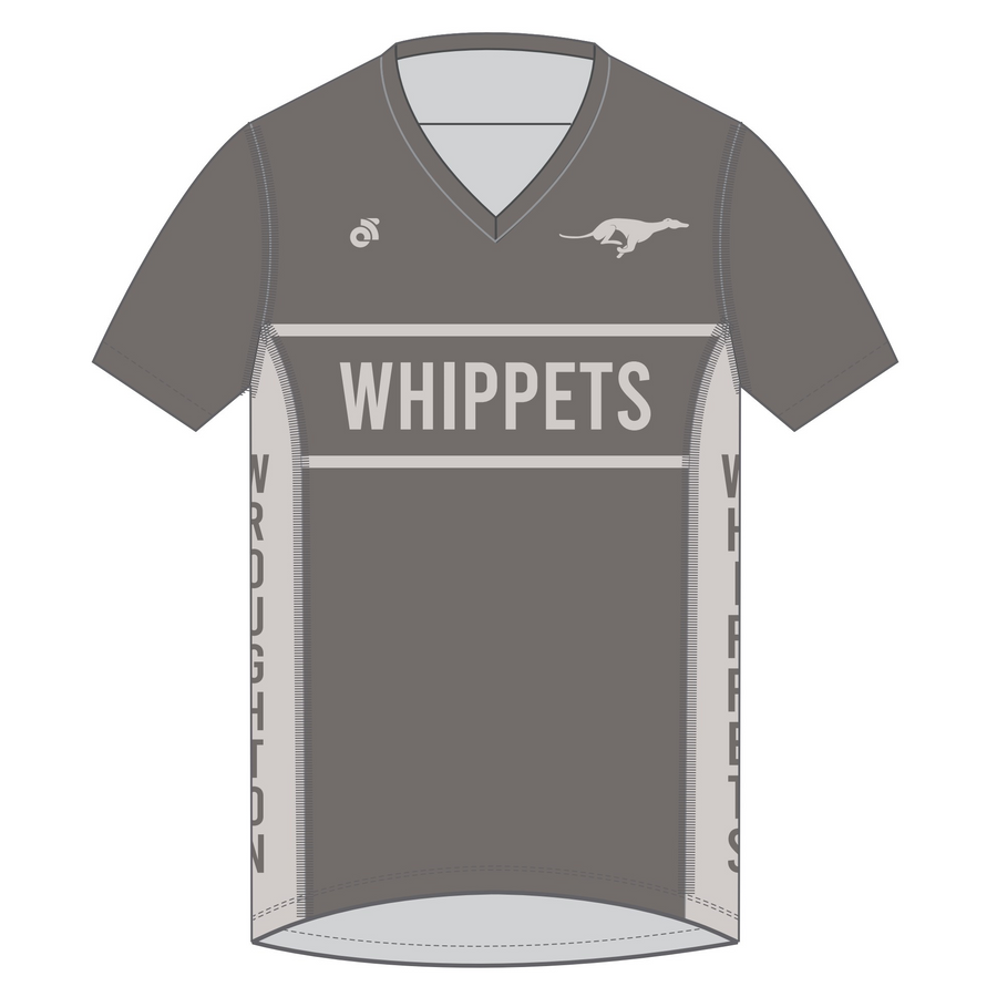 Apex Men's Run Top V-Neck