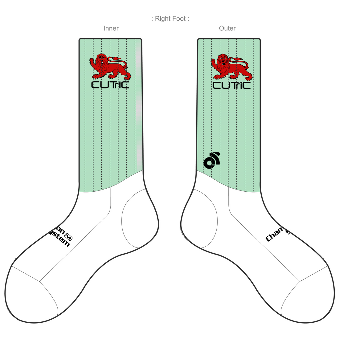 APEX Aero Race Socks