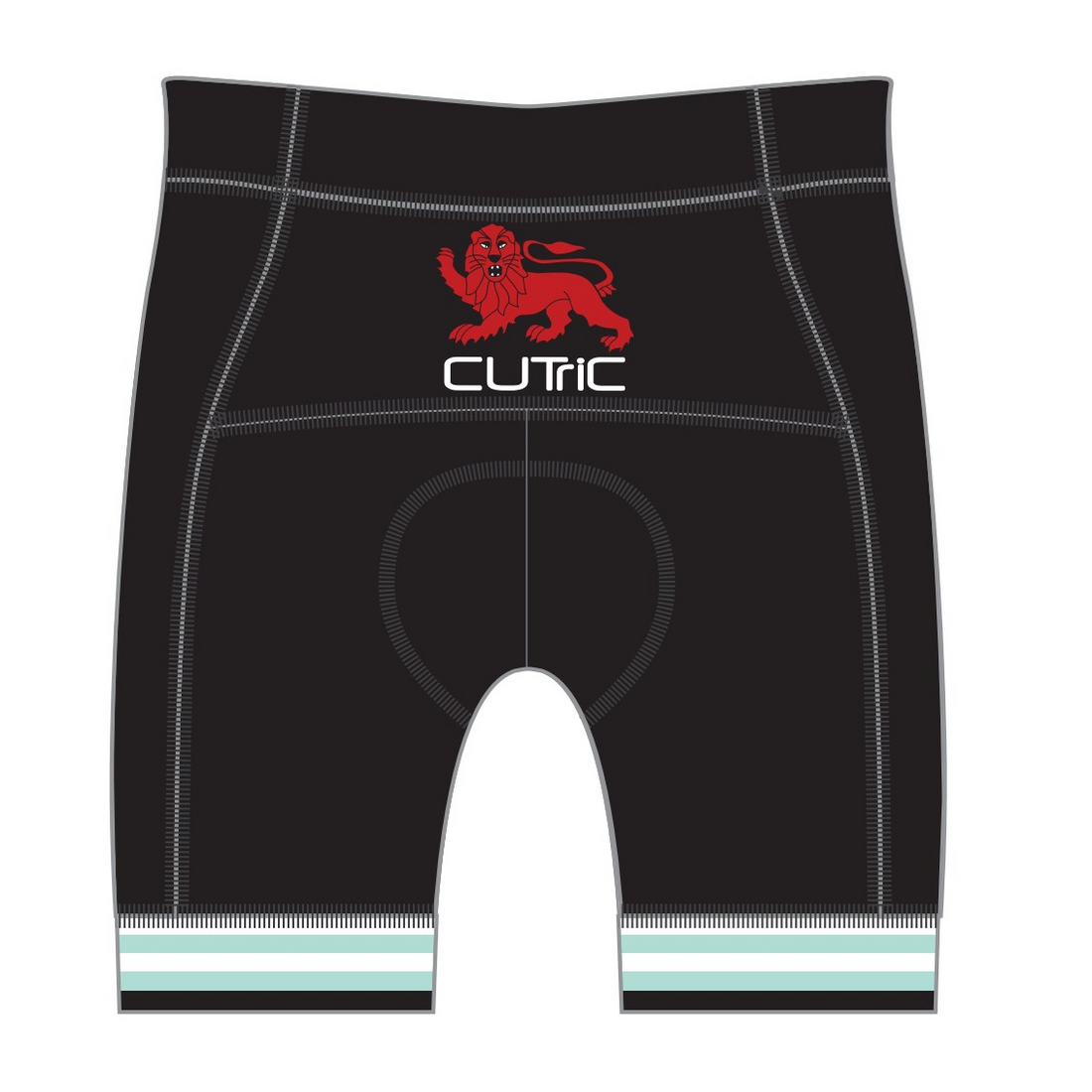 PERFORMANCE Tri Shorts