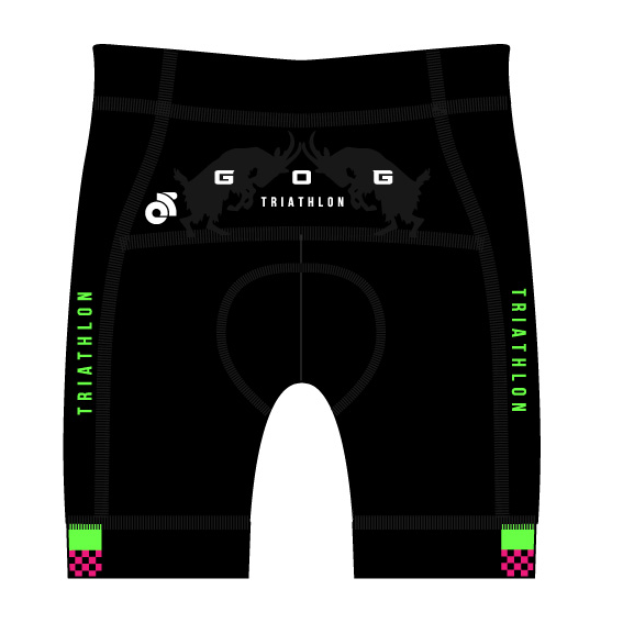 PERFORMANCE Tri Shorts